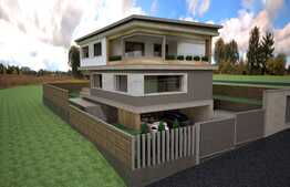 Casa individuala cu arhitectura unica, design deosebit