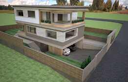 Casa individuala cu arhitectura unica, design deosebit