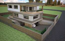 Casa individuala cu arhitectura unica, design deosebit