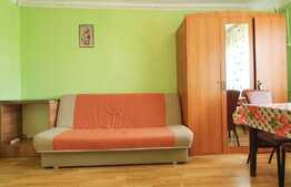 Reducere de pret! Garsoniera, 21 mp utili, zona bvd. Muncii