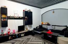 Apartament cu 2 camere, NEMOBILAT, finisat modern - Apahida