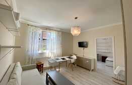 Apartament 2 camere, prima inchiriere, AC, 42 mp, zona strazii Horea, Central