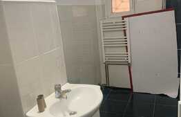 Apartament de 2 camere, 60 mp, balcon, zona Faget