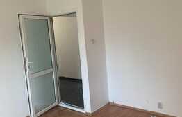 Apartament de 2 camere, 60 mp, balcon, zona Faget