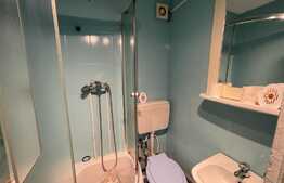 Apartament de 1 camera, renovat, parcare, pet-friendly, zona Lombului