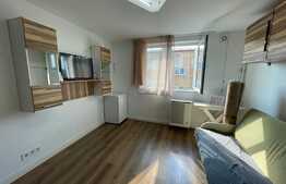 Apartament de 1 camera, renovat, parcare, pet-friendly, zona Lombului