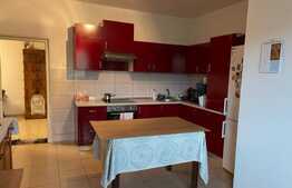 Proprietate speciala in Apahida, casa 206 mp utili, 3000 mp, 25 ml front