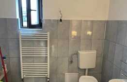 Proprietate speciala in Apahida, casa 206 mp utili, 3000 mp, 25 ml front