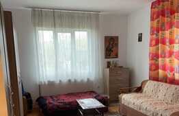 Proprietate speciala in Apahida, casa 206 mp utili, 3000 mp, 25 ml front