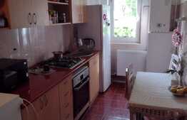 Apartament de 2 camere, 40 mp, decomandat, parter înalt, Astra