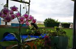 Apartament 2 camere, 60 mp, parcare, balcon, zona strazii Titulescu 