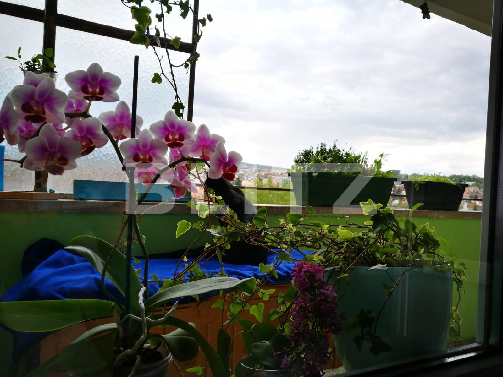 Apartament de închiriat 2 camere Central - 67956AI | BLITZ Cluj-Napoca | Poza13