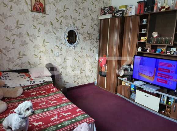 Garsonieră de vânzare Noua - 67965AV | BLITZ Brașov | Poza2