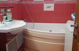 Apartament 2 camere, 55 mp, zona Gemenii