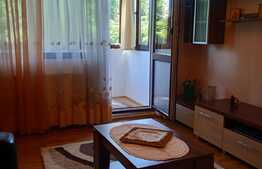 Apartament 2 camere, 55 mp, zona Gemenii