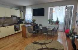 Apartament 3 camere, 73 mp, 100 mp gradina, parcare, lux! Zona Eroilor, Floresti!