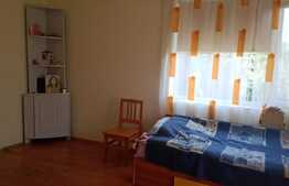 De vanzare casa traditionala cu 900 mp teren, Sanicoara!