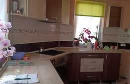 Casa individuala 200 mp utili, cu 600 mp teren, pivnita, garaj!