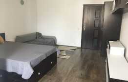 Garsoniera semidecomandata, 32 mp, in Manastur, zona BIG