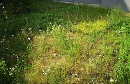 Apartament cu gradina, 4 camere, terasa! Zona Tauti