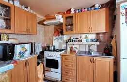 Casa individuala, 150 mp utili, 1231 mp teren, Suceagu