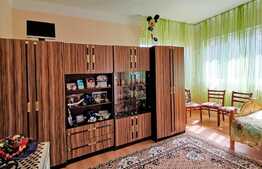 Casa individuala, 150 mp utili, 1231 mp teren, Suceagu