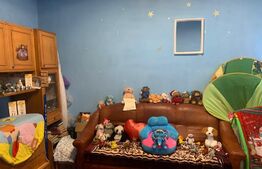 Casa individuala, 150 mp utili, 1231 mp teren, Suceagu