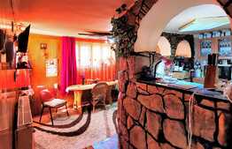 Casa individuala, 150 mp utili, 1231 mp teren, Suceagu