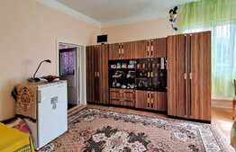 Casa individuala, 150 mp utili, 1231 mp teren, Suceagu