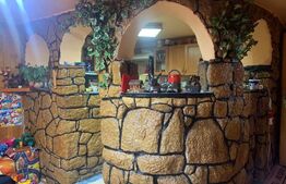 Casa individuala, 150 mp utili, 1231 mp teren, Suceagu