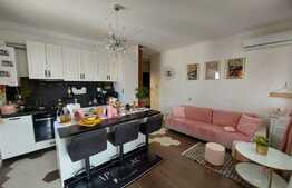 Apartament de 3 camere, lux, 2 terase, 58 mp, zona Terra