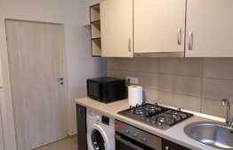 Apartament 2 camere, design minimalist, zona Vlahuță