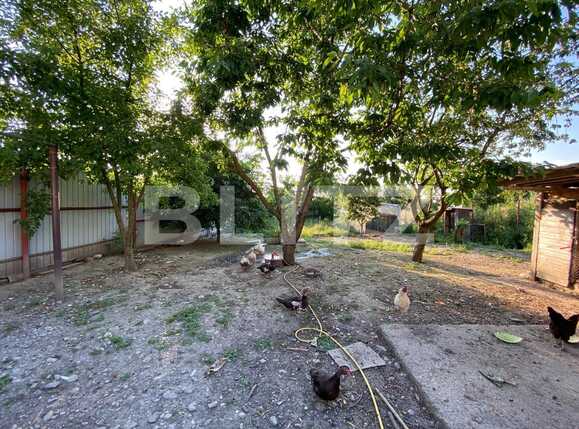 Casa de vânzare 8 camere Exterior Est - 68146CV | BLITZ Brașov | Poza18