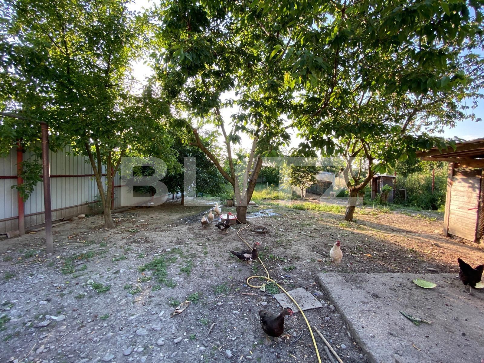 Casa de vânzare 8 camere Exterior Est - 68146CV | BLITZ Brașov | Poza18