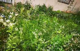 Apartament de 2 camere, 51 mp, 20 mp gradina! Zona Vivo!