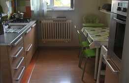 Vanzare apartament 2 camere, 54 mp utili, zona Detunata, loc parcare inclus