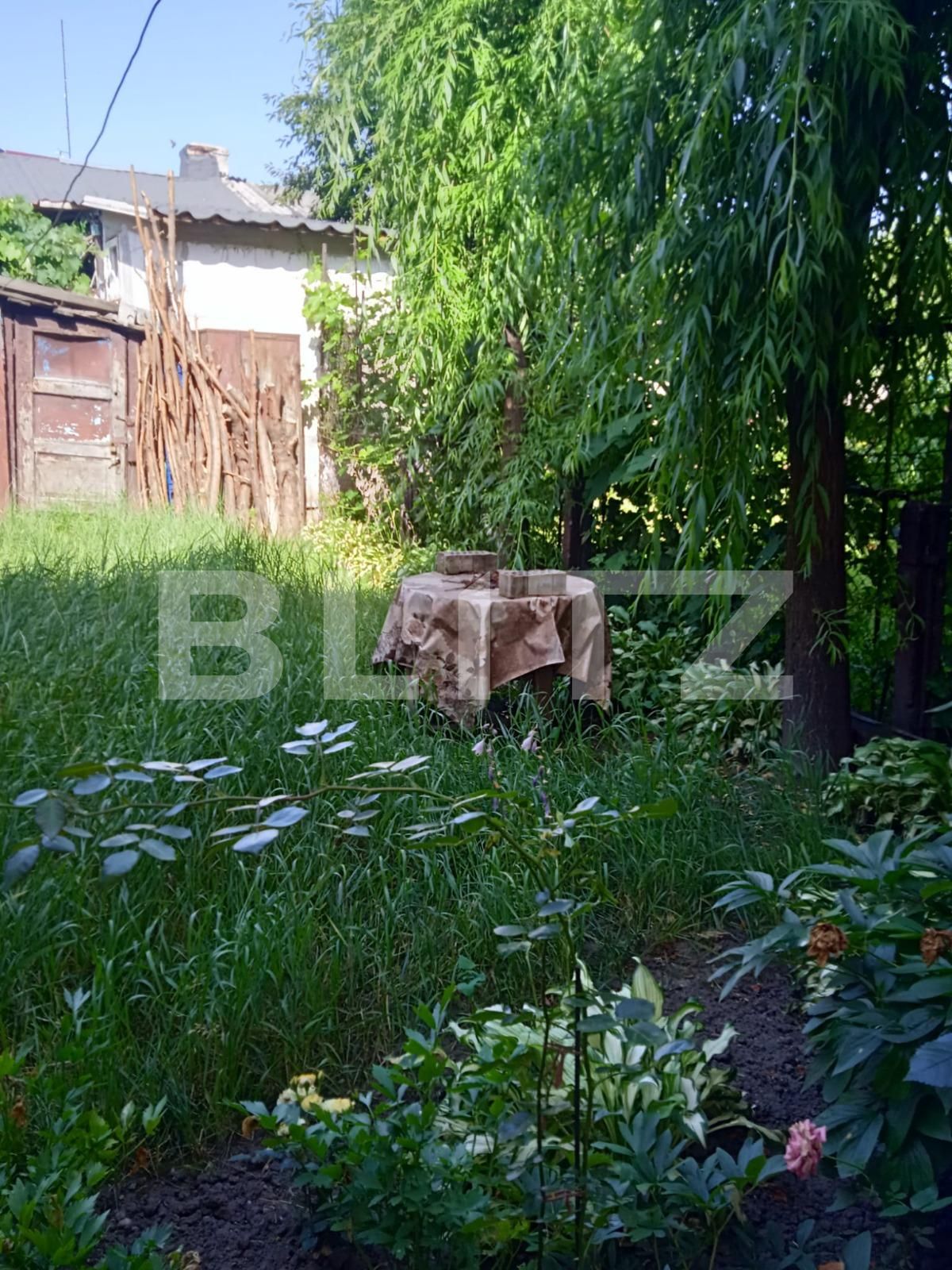 Apartament de închiriat 3 camere Bartolomeu - 68237AI | BLITZ Brașov | Poza16