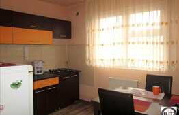 Apartament de vanzare 1 camera, decomandat, 42 mp utili, zona Garii