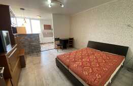 Garsoniera de 30 mp, imobil nou, zona străzii Grigore Alexandrescu!