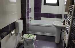 Apartament 2 camere, 56 mp, parcare, balcon, zona strazii Albastrelelor