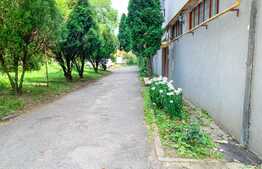 Apartament de 2 camere, 47 mp, ultracentral, ideal pentru investiție!