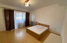 Garsoniera, mobilata, utilata, aer conditionat,parcare, zona Florilor