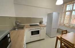 Cheltuieli incluse. Apartament cu 1 cameră în zona străzii Republicii, 40 mp 