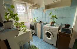 Garsonieră de 17 mp, pet friendly, zona Auchan!