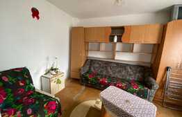 Garsonieră de 17 mp, pet friendly, zona Auchan!