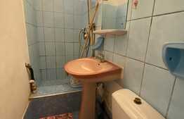 Garsonieră de 17 mp, pet friendly, zona Auchan!