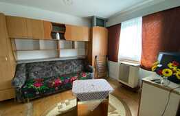 Garsonieră de 17 mp, pet friendly, zona Auchan!