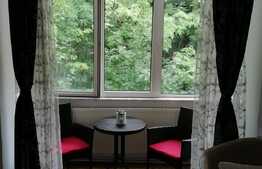 Apartament 2 camere, ultracentral, priveliste la padure