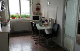 Apartament 2 camere, ultracentral, priveliste la padure