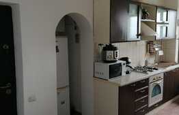Apartament 2 camere, ultracentral, priveliste la padure